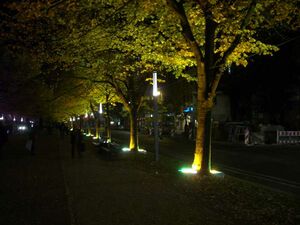 FoL LindenCorso Gelb 2007.JPG